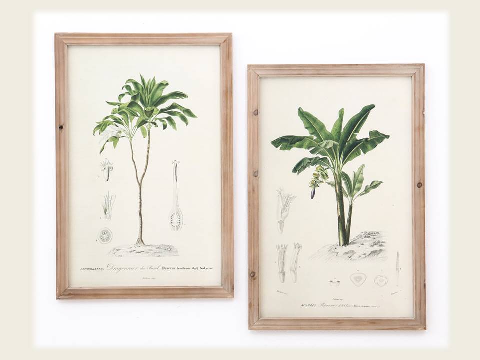 set quadri Palm